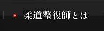 柔道整復師とは